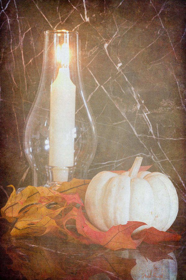 Autumn Light #1 Photograph by Heidi Smith