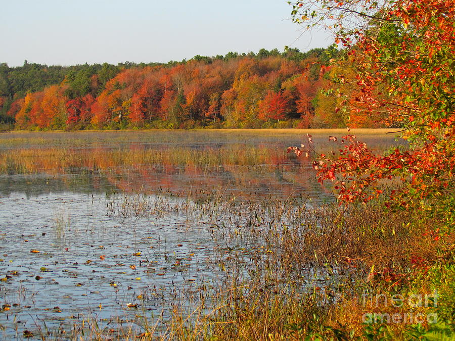 Autumn on Middle Reservoir III #1 Photograph by Lili Feinstein