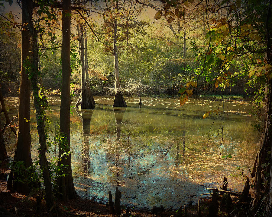 Autumn on the Bayou #1 Photograph by Terry Eve Tanner