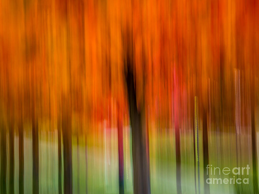 Autumn Park 2 #1 Digital Art by Susan Cole Kelly Impressions