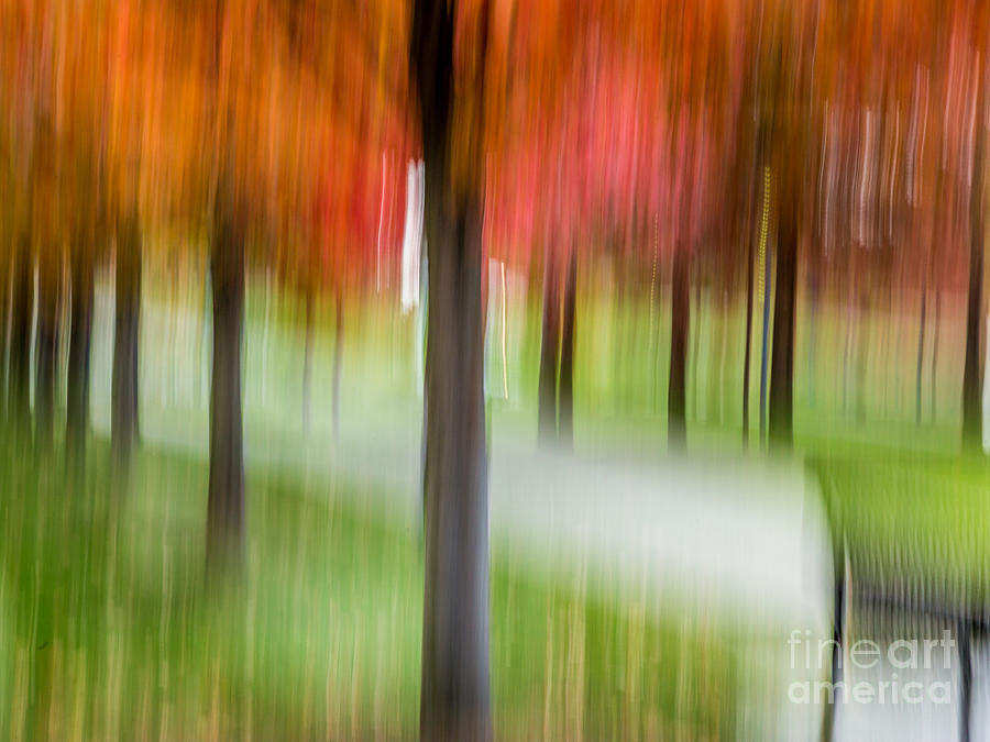 Autumn Park 3 #1 Digital Art by Susan Cole Kelly Impressions