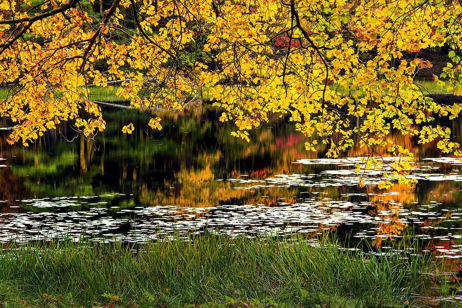 Autumn Pond 2013 Photograph by Bill Wakeley - Fine Art America