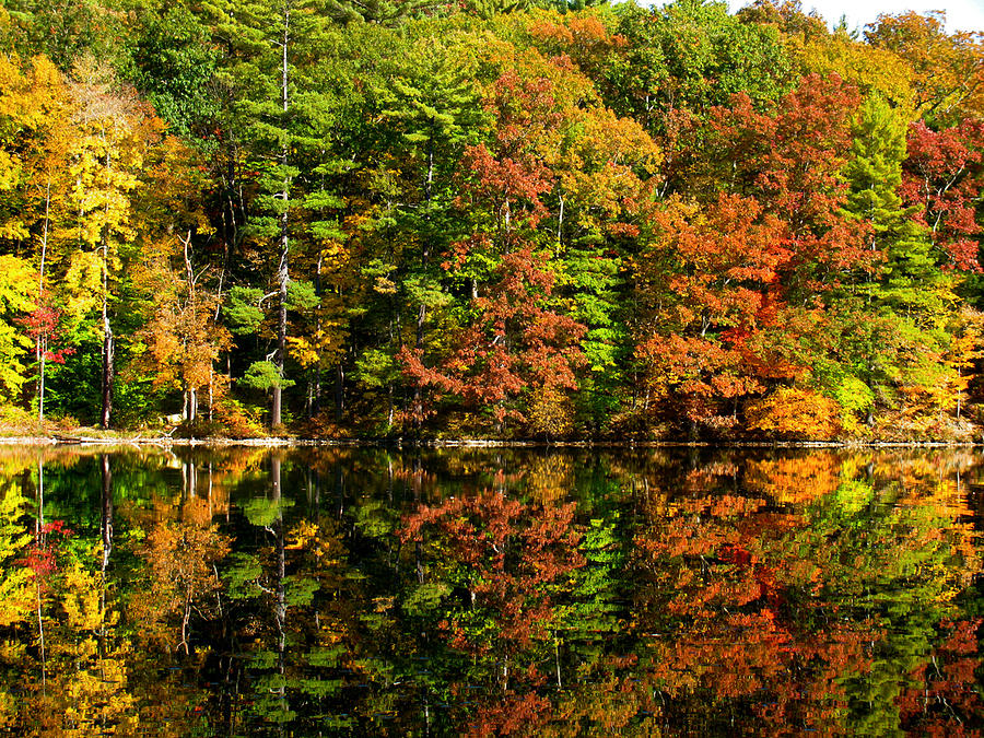 Fall Photograph - Autumn reflection #1 by Meagan Johnson