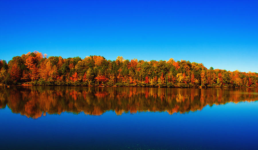 SC Autumn Reflections Photograph by Andy Lawless