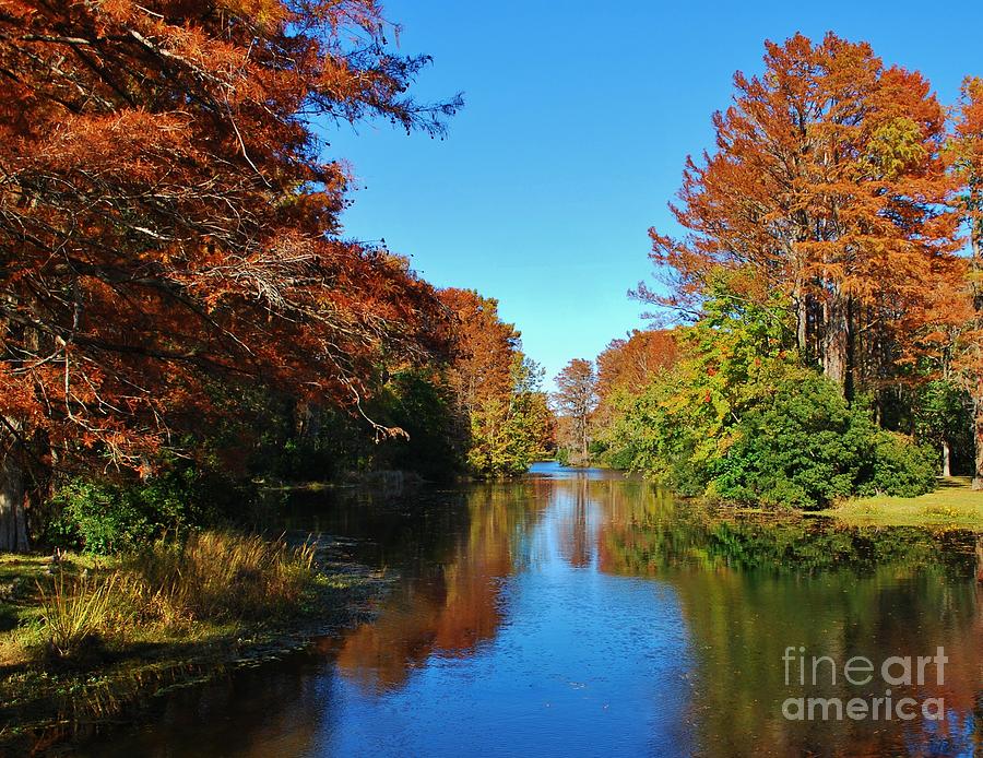 Autumn Reflections Photograph by Bob Sample