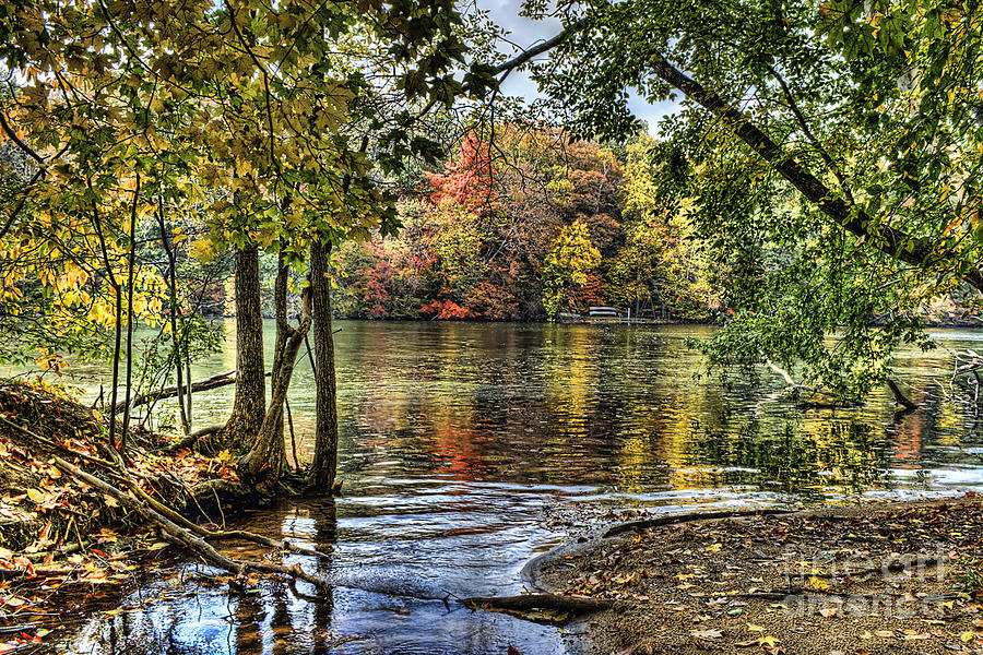 Autumn Reflections #1 Photograph by Scott Wood