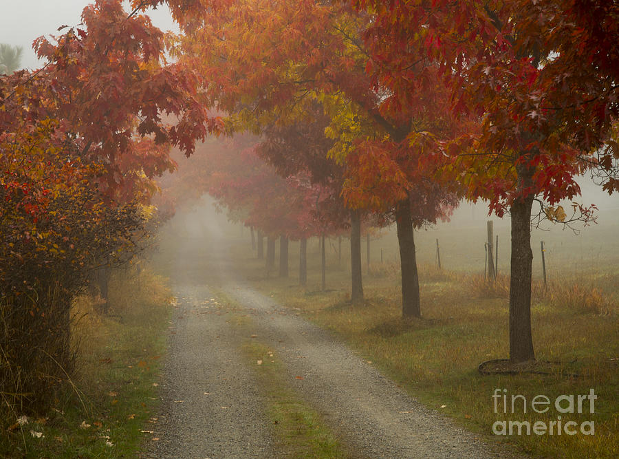 Autumn Road #1 Photograph by Idaho Scenic Images Linda Lantzy