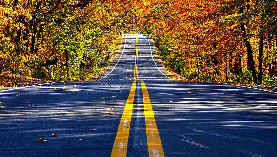 Autumn Road #1 Photograph by Phil Koch