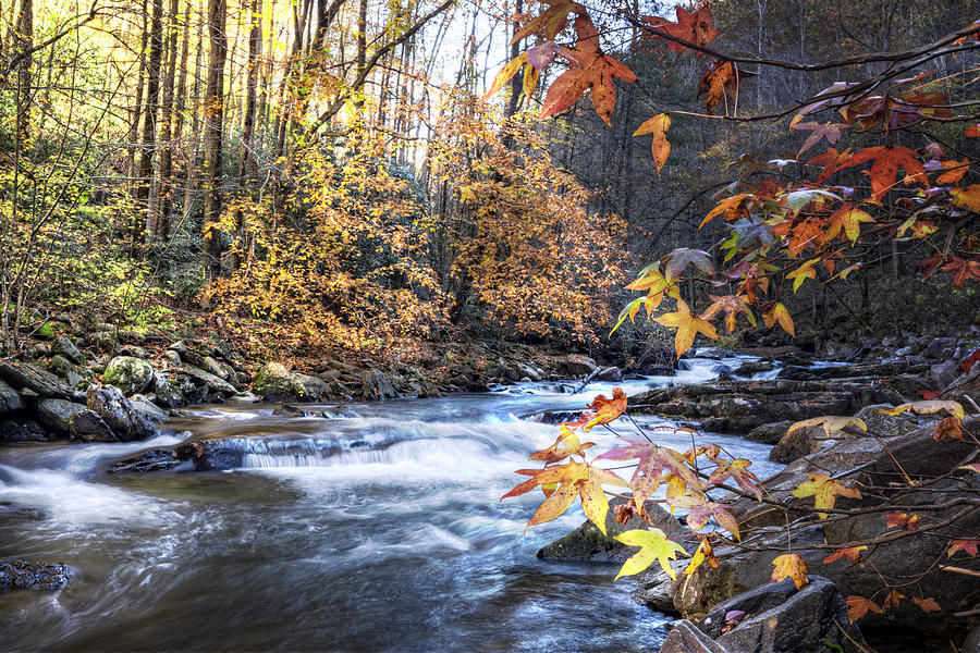 Fall Photograph - Autumn Stream #1 by Debra and Dave Vanderlaan