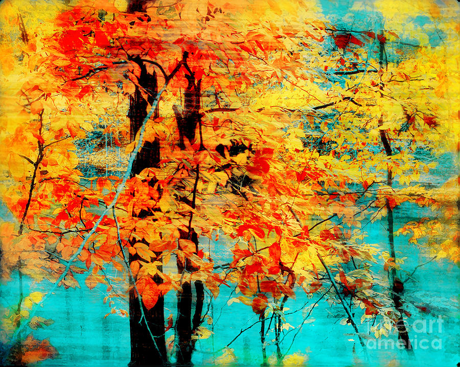 Autumn tapestry #1 Photograph by Gina Signore