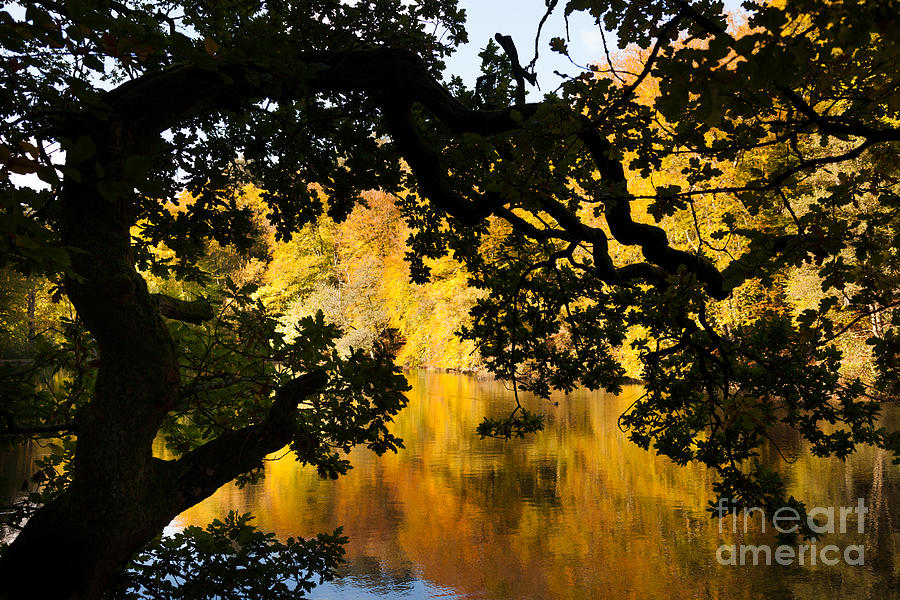 Autumn Trees Reflected In Still Lake #1 Photograph by Peter Noyce