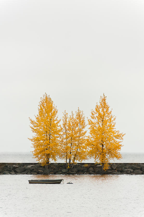 Autumn Trees #1 Photograph by U Schade