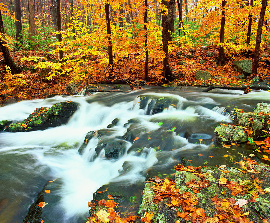 Autumn Waterfall In New York #1 Photograph by Ron thomas