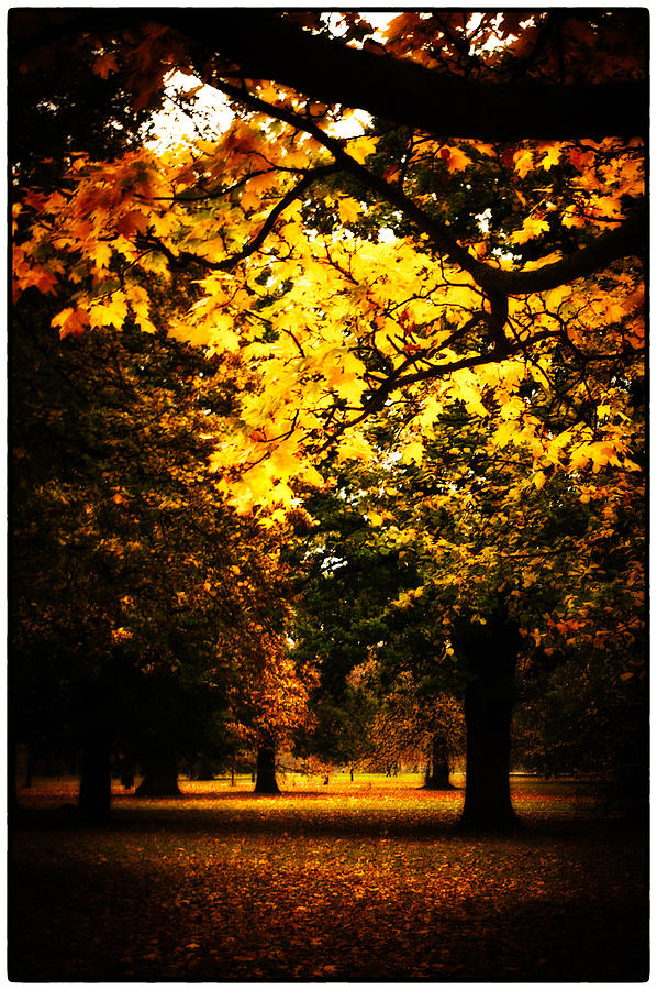 Autumnal Walks #1 Photograph by Lenny Carter