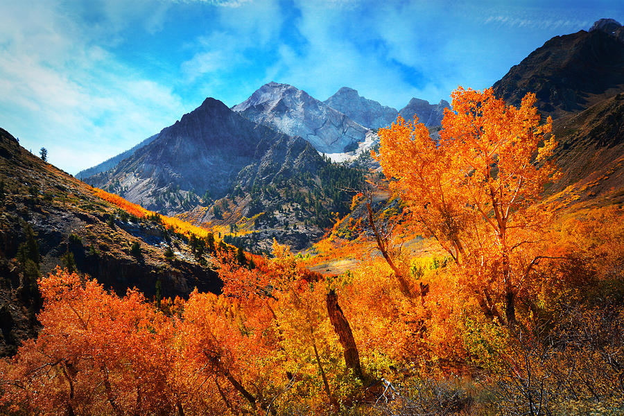 Fall Photograph - Autumns Glory #1 by Lynn Bauer