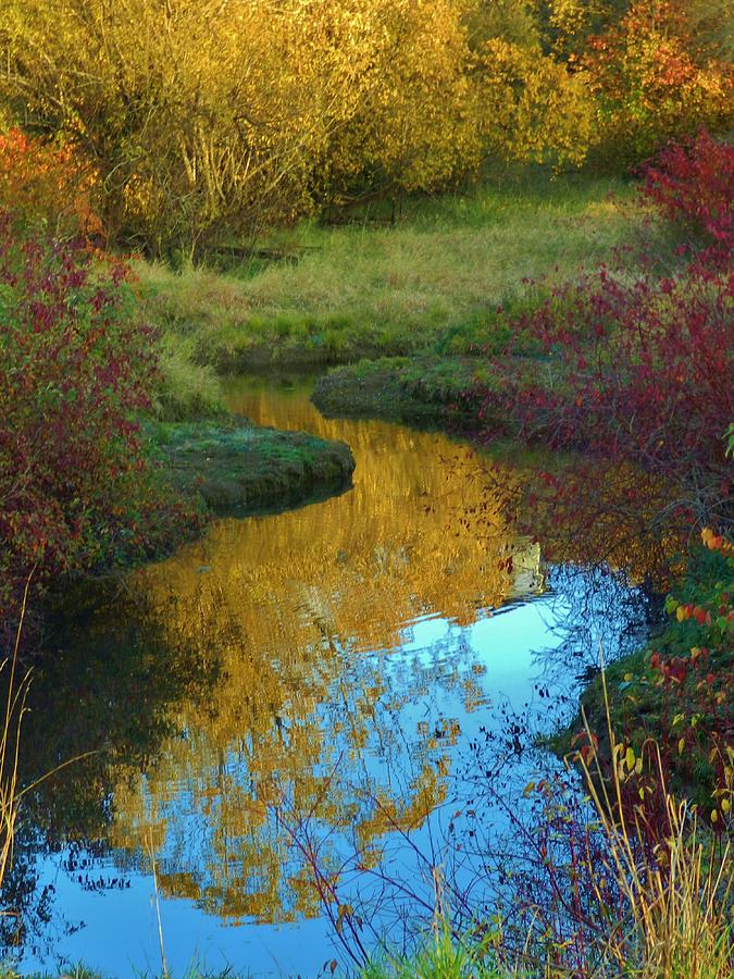 Autumns Stream of color #1 Photograph by Charles Lucas
