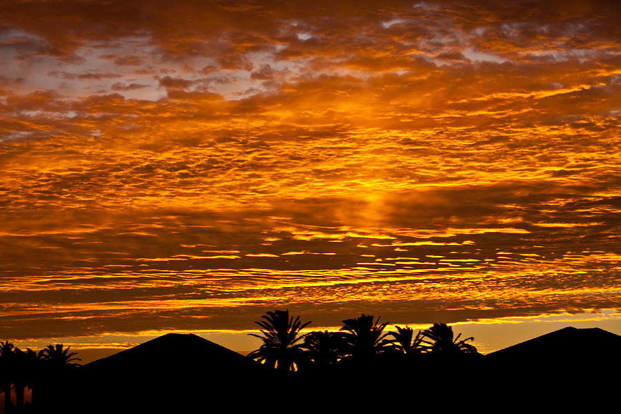 Sun Set Photograph - 1 Awsome SunSet by Brian Williamson