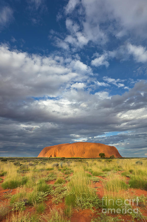 Ayers Rock Australia Photograph by Yva Momatiuk John Eastcott