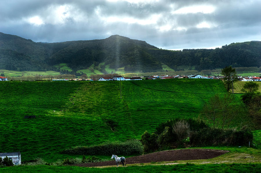 Azores Landscapes #1 Photograph by Joseph Amaral
