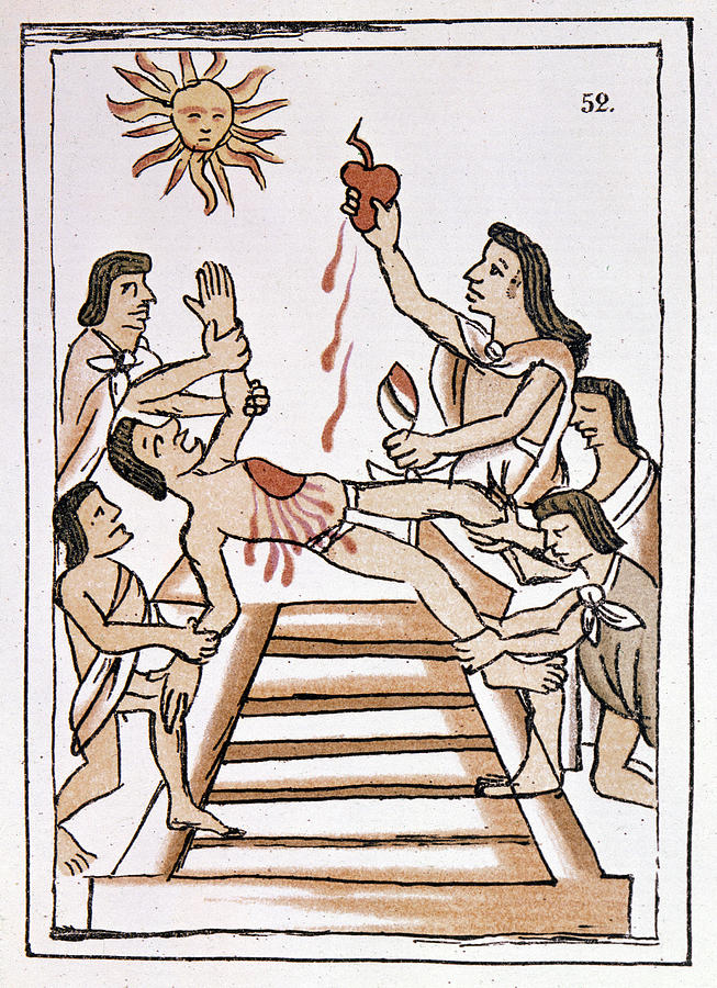 Aztec Ritual Sacrifice #1 Drawing by Granger