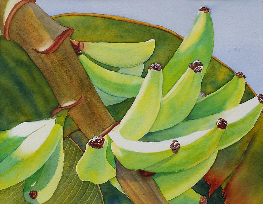 Banana Painting - Baby Bananas by Judy Mercer