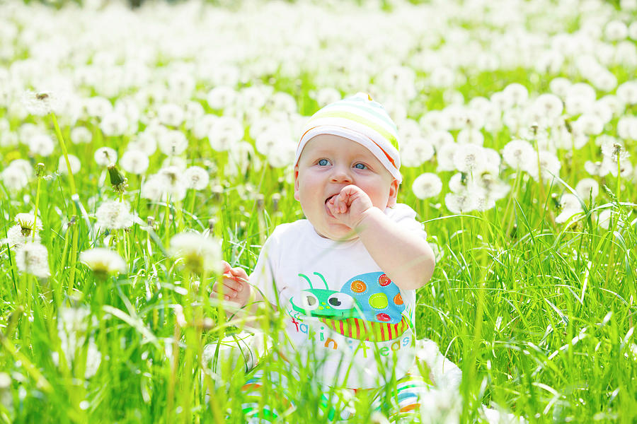 Baby Boy With Dandelions Photograph by Wladimir Bulgar - Fine Art America