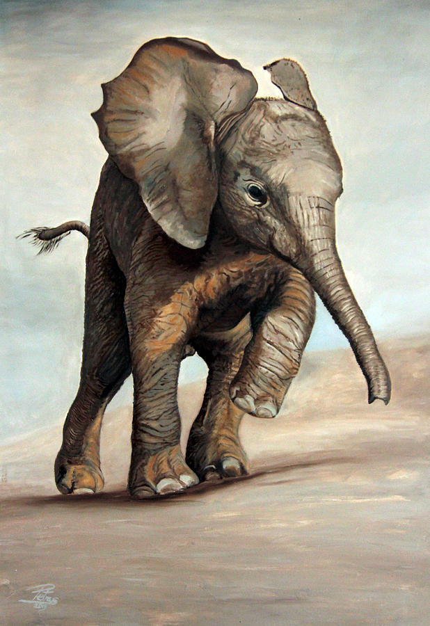 Baby Bull Elephant #1 Painting by Petra Stephens