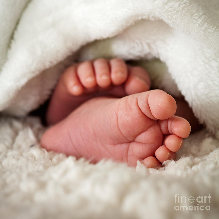 Adorable Photograph - Baby toes #1 by Kati Finell