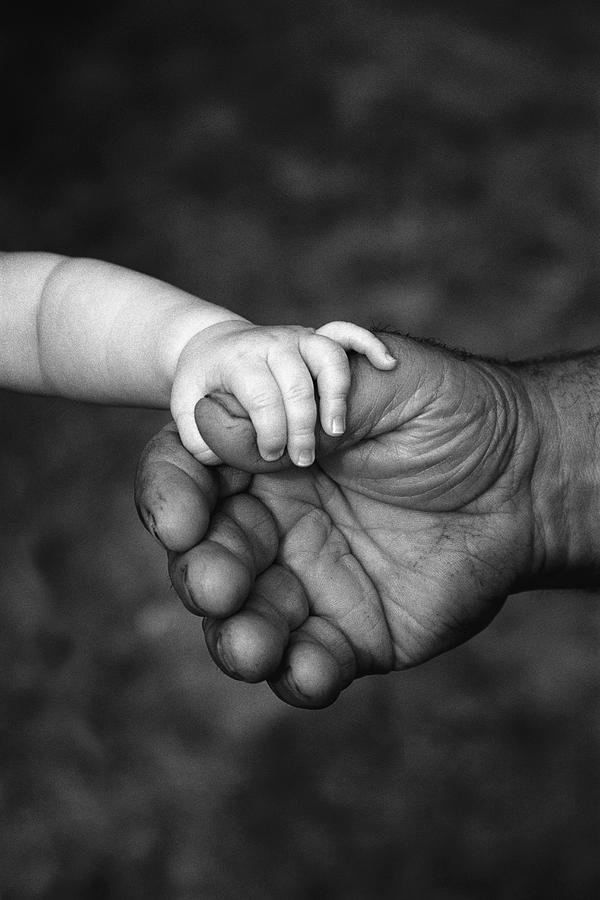 Black And White Photograph - Babys Hand Holding On To Adult Hand #1 by Corey Hochachka