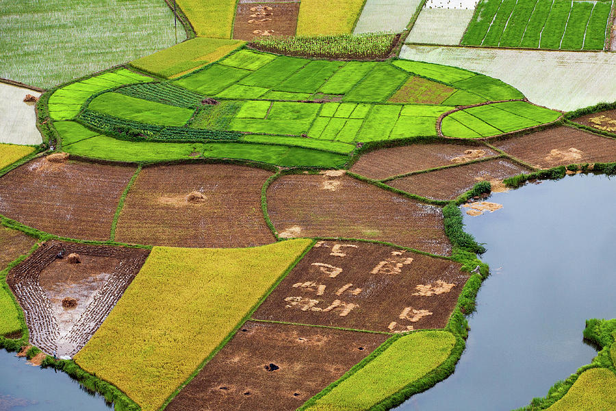 Bac Son Rice Field #1 Photograph by Hoang Giang Hai