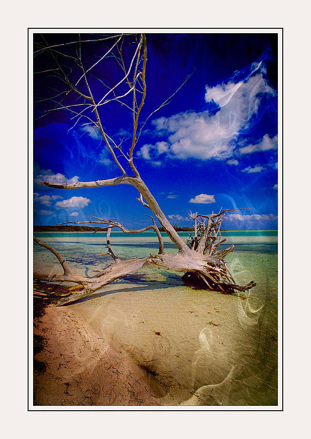 Bahia Honda Key Ver - 7 #1 Photograph by Larry Mulvehill