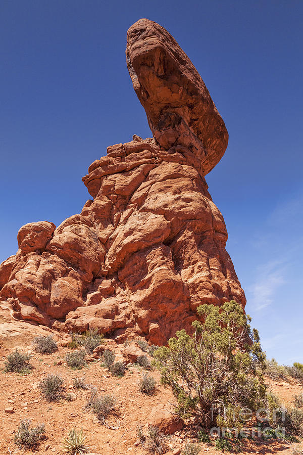 Balanced Rock Arches National Park Utah USA #1 Photograph by Colin and Linda McKie