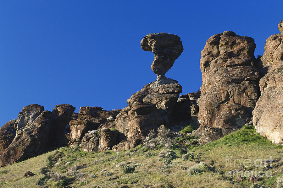 Balanced Rock, Idaho #1 Photograph by William H. Mullins