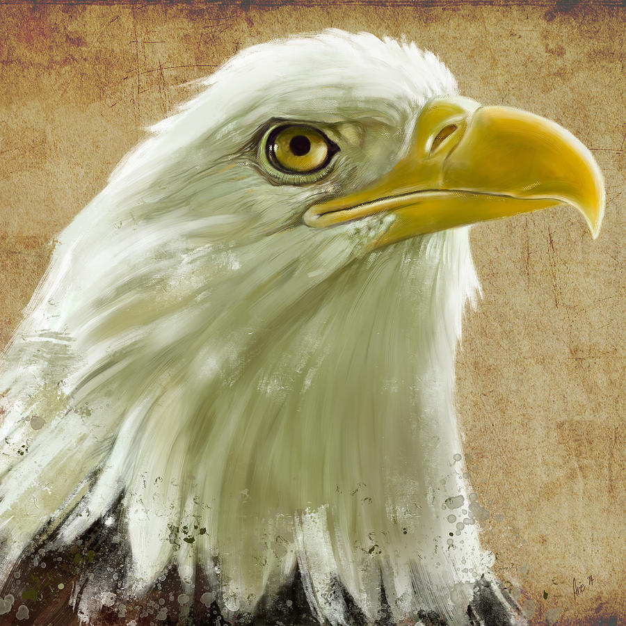 Bald Eagle #2 Digital Art by Arie Van der Wijst