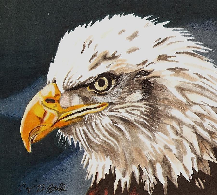 Bald Eagle #3 Drawing by Cory Still