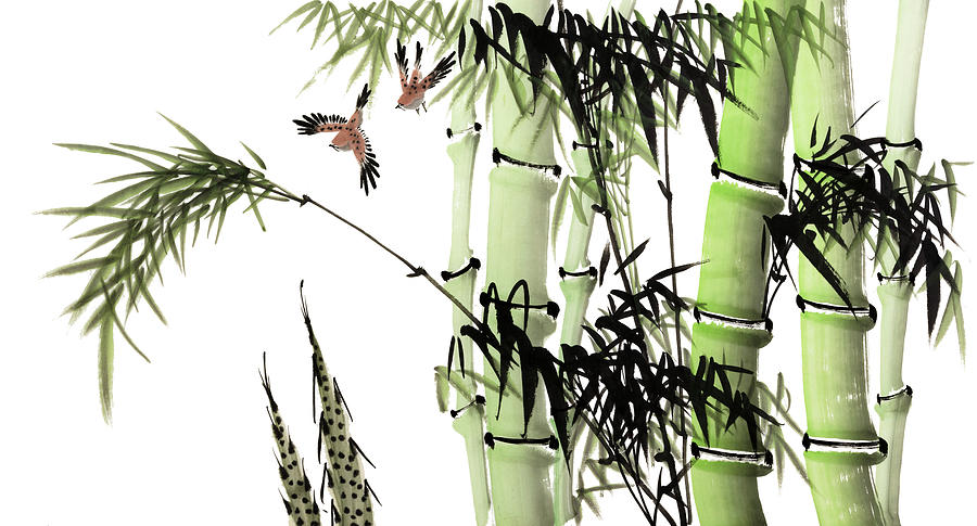 Bamboo #1 Digital Art by Vii-photo