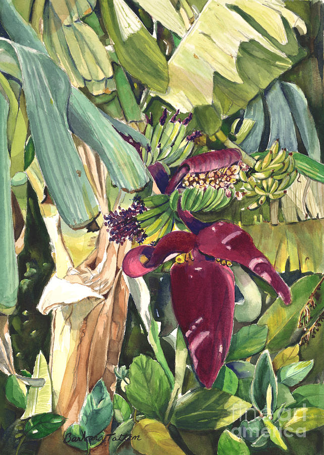 Banana Garden Painting by Barbara Totten - Fine Art America