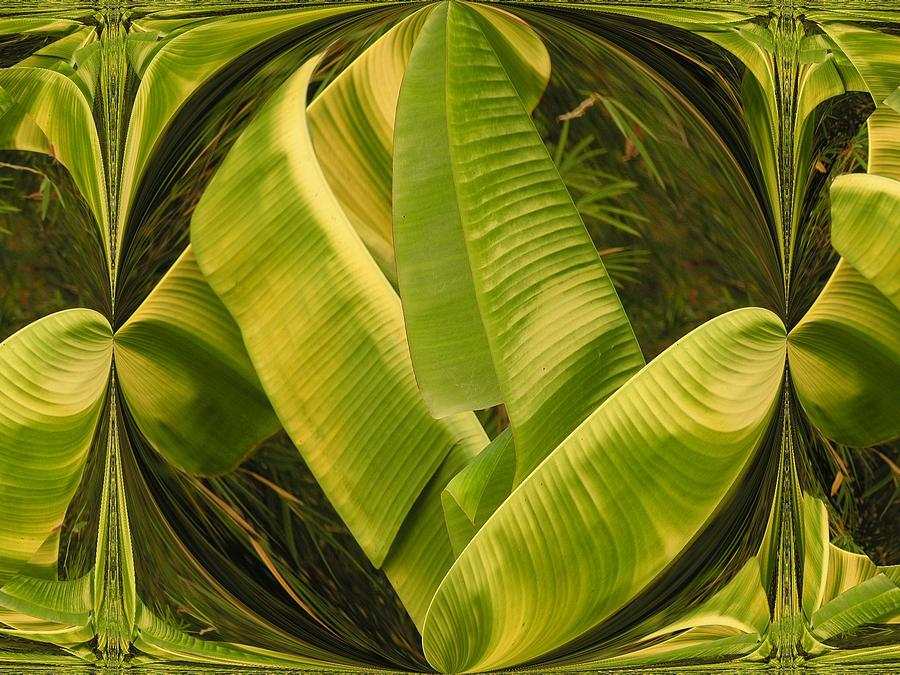 Banana Leaf Abstract Digital Art by Serge Seymour Fine Art America