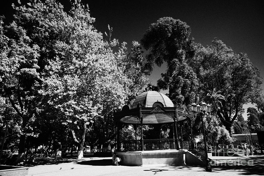 City Photograph - Bandstand In Plaza Square Constitucion Chile #1 by Joe Fox