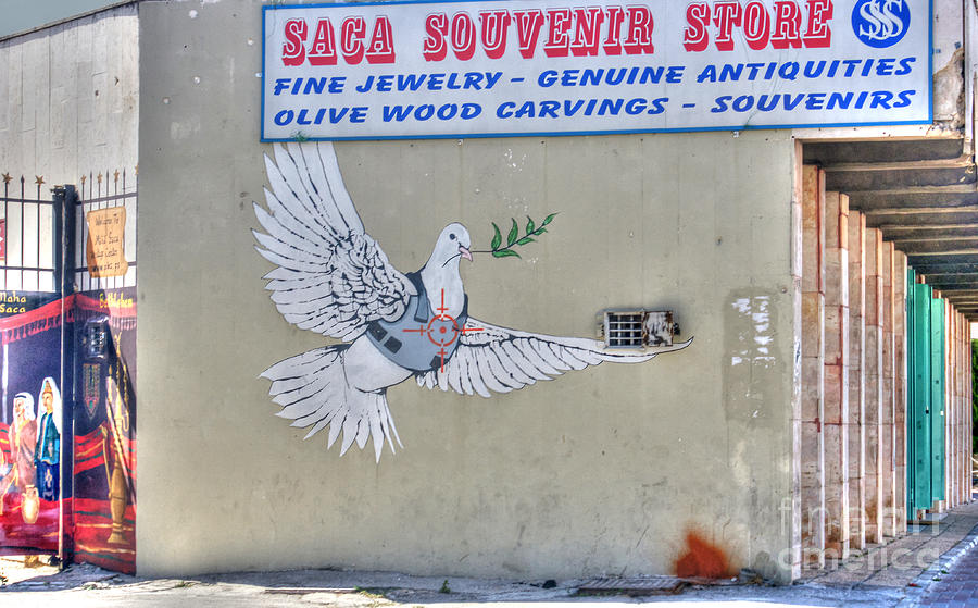 Dove Photograph - Banksy In Bethlehem #2 by David Birchall