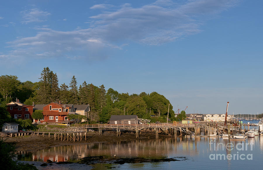 Bar Harbor, Maine #1 Photograph by Bill Bachmann