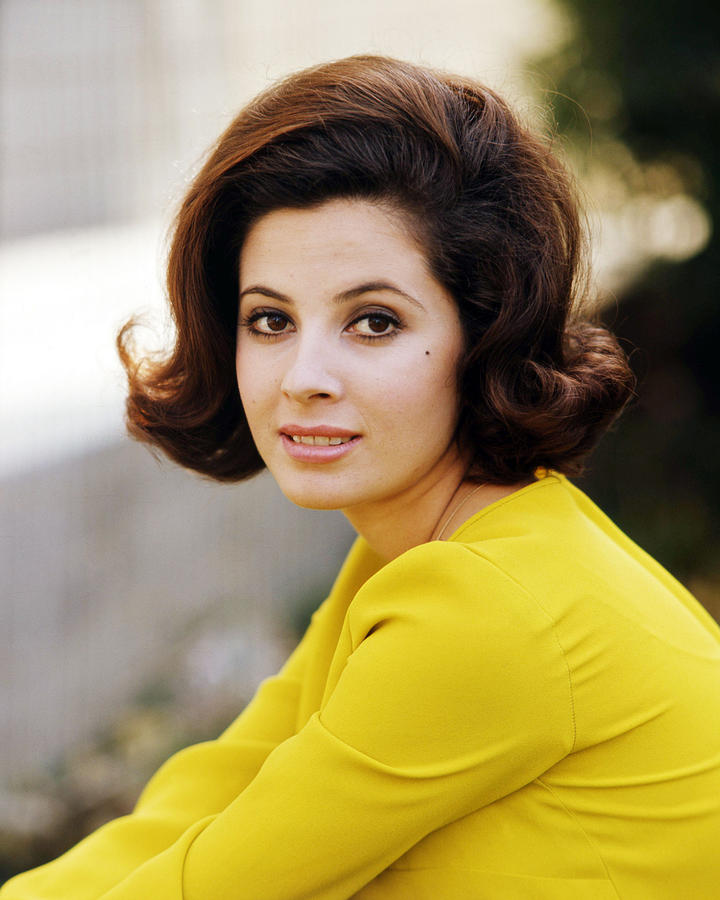 Barbara Parkins in Peyton Place  #1 Photograph by Silver Screen