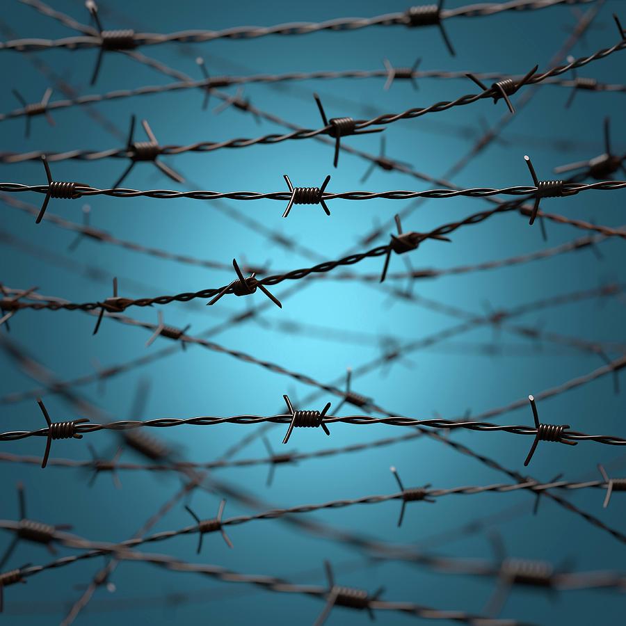 Barbed Wire #1 Photograph by Ktsdesign