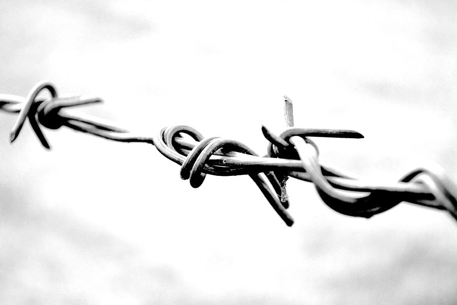 Black And White Photograph - Barbed Wire #1 by Richelle Munzon
