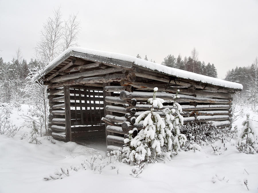 Barn in Seitseminen winter #1 Photograph by Jouko Lehto