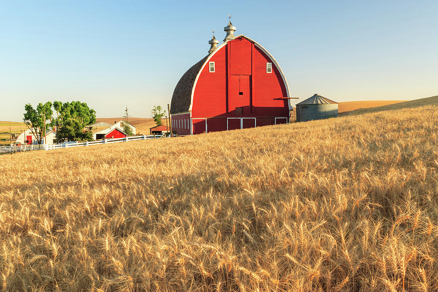 Barn, Summer Wheat Fields Near Sprague Photograph by Stuart Westmorland