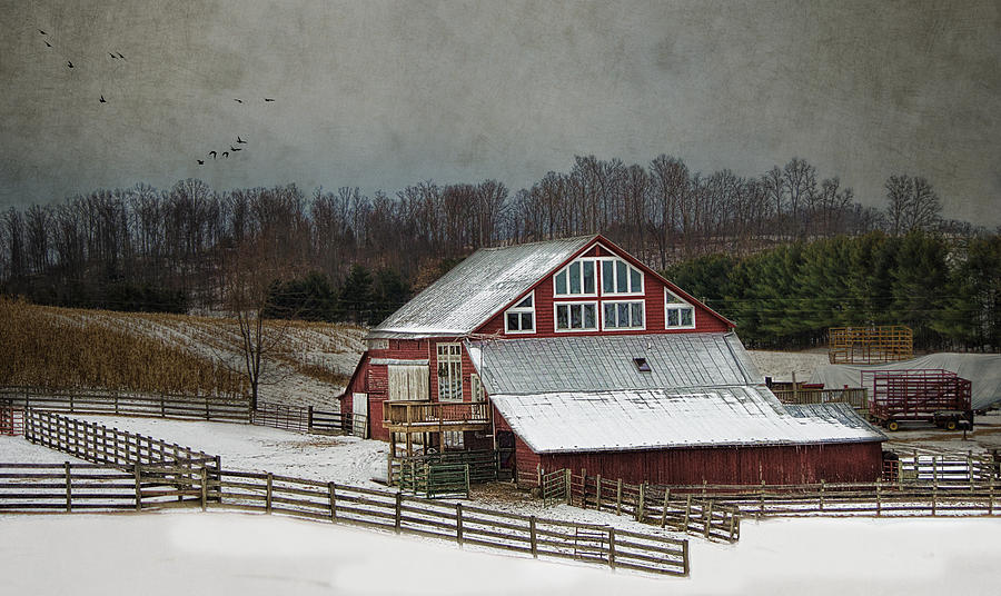 Winter Photograph - Barnyard #1 by Kathy Jennings