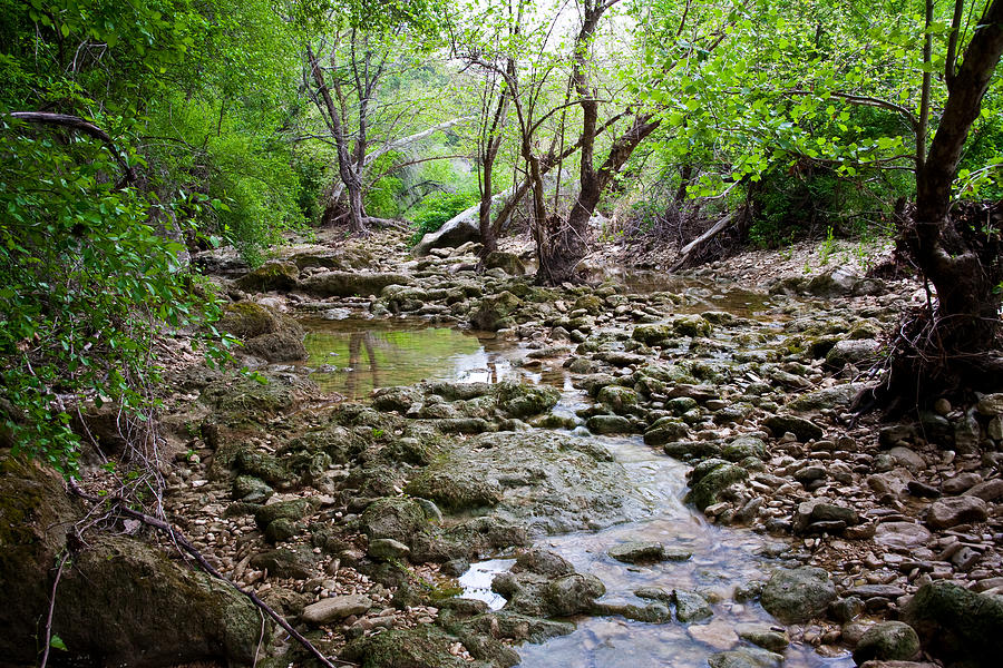 Austin Photograph - Barton Creek Greenbelt #2 by Mark Weaver