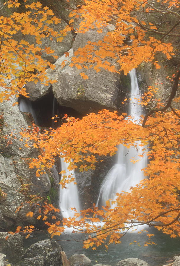 Bash Bish Falls in Autumn #1 Photograph by John Burk