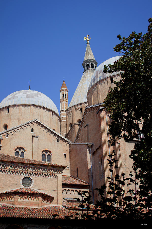 Basilica of Saint Anthony of Padua #1 Photograph by Ivete Basso Photography